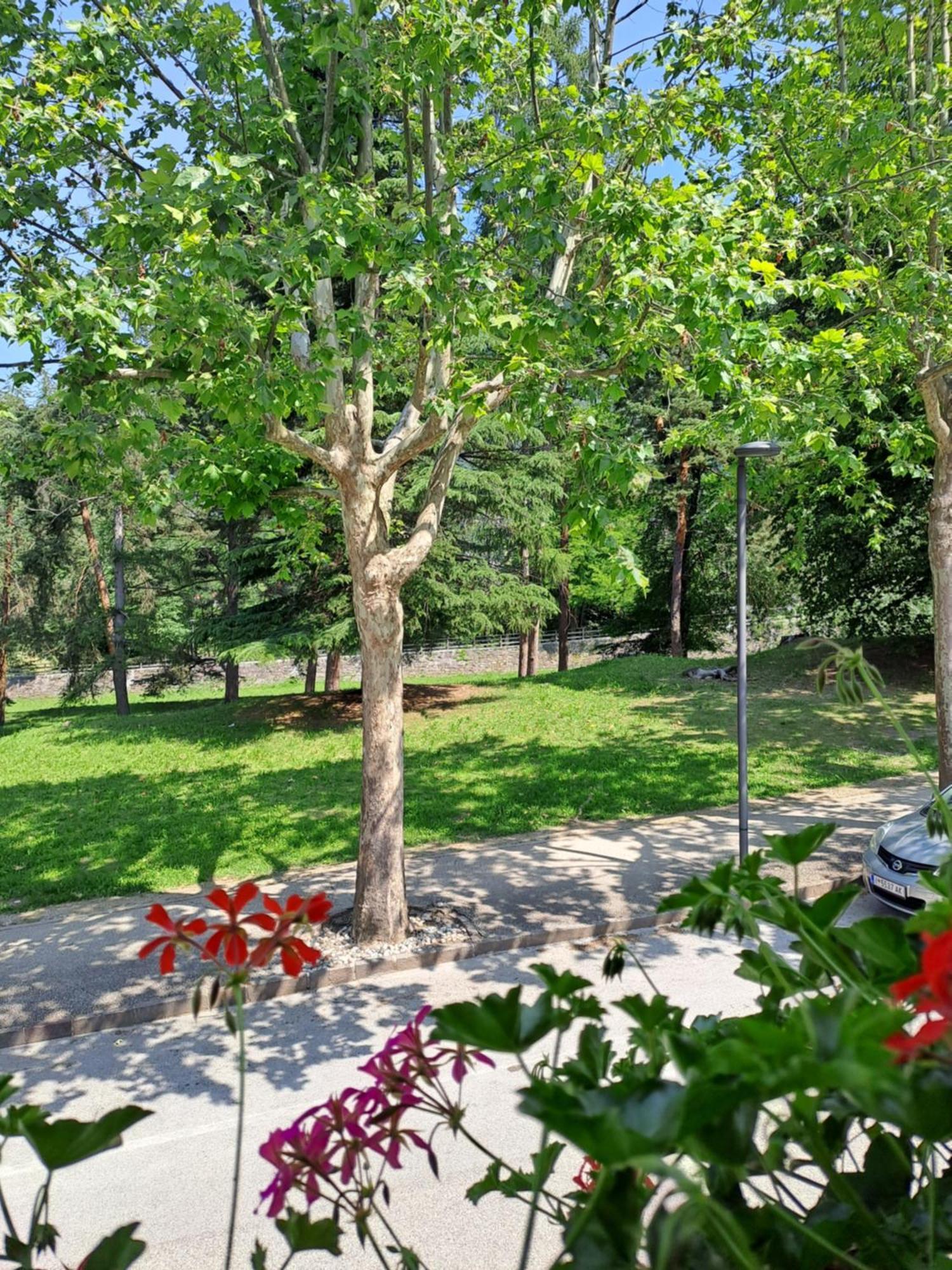 Casa Alby Apartment Левико Терме Екстериор снимка
