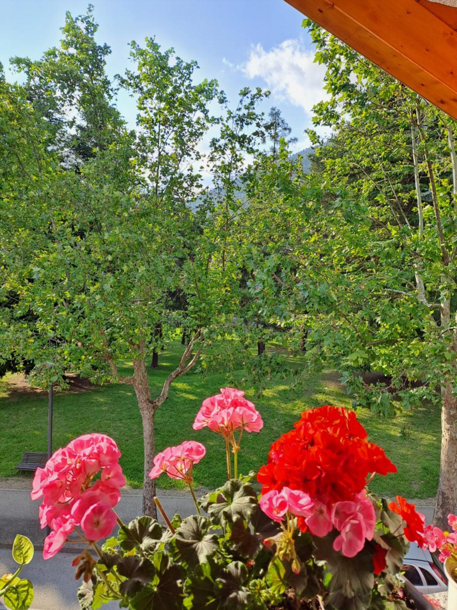Casa Alby Apartment Левико Терме Екстериор снимка