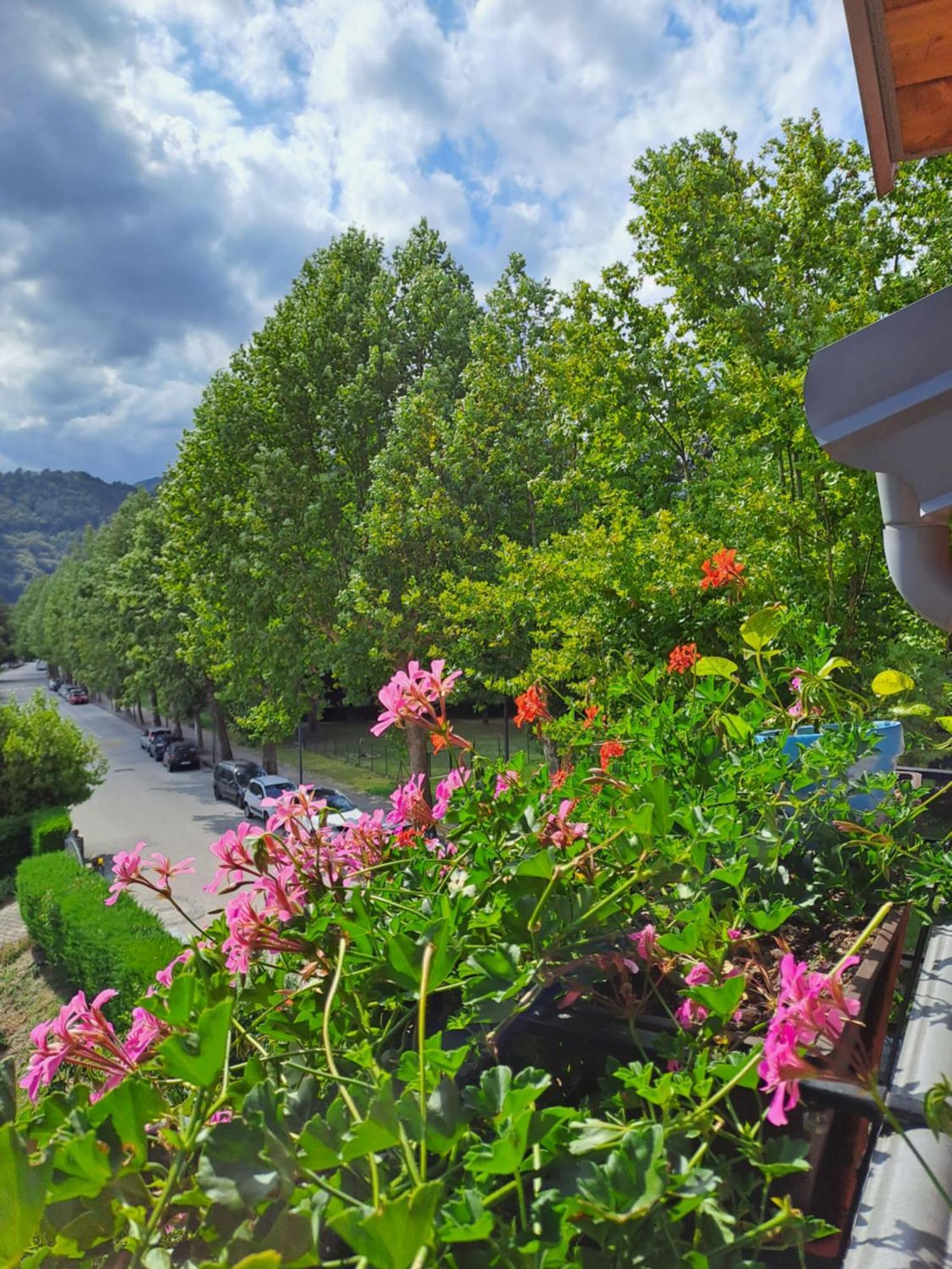 Casa Alby Apartment Левико Терме Екстериор снимка